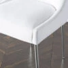 Elinor Dining Chair - Bright Nickel