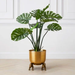 Nikki Chu - Jaguar Planter -Furniture Sales 122424803 71996.1690292789.386.513