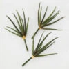 Faux Snake Grass Pick - Set Of 3 -Furniture Sales 209204912 1 88389.1690278983.386.513