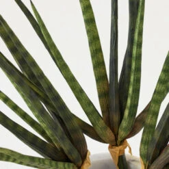 Faux Snake Grass Pick - Set Of 3 -Furniture Sales 209204912 2 81403.1690278983.386.513 2