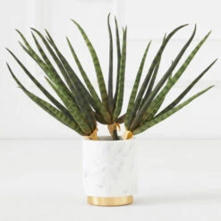 Faux Snake Grass Pick - Set Of 3 -Furniture Sales 209204912 67761.1690278982.386.513 2