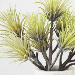 Faux Aeonium Succulent Pick - Set Of 3 -Furniture Sales 209207468 2 12382.1690278982.386.513