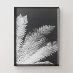 Tropical Palm Duo -Furniture Sales 725117530 56886.1690292284.386.513 2