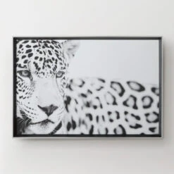 Majestic Calm -Furniture Sales 725121331 87862.1690292326.386.513