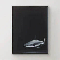 Silence In The Deep -Furniture Sales 725159654 37014.1690292287.386.513