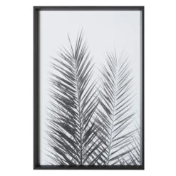 Palm Crisp -Furniture Sales 725177204 2 35254.1690292326.386.513 1