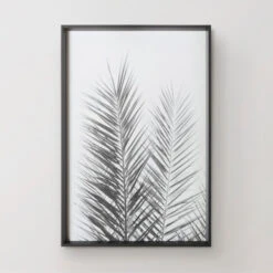 Palm Crisp -Furniture Sales 725177204 62258.1690292326.386.513 1