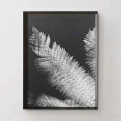 Tropical Palm Duet -Furniture Sales 725183312 71425.1690292285.386.513