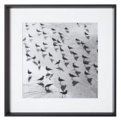 Escher's Seagulls -Furniture Sales 730157566 2 40049.1690292292.386.513