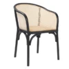 Zaria Arm Chair -Furniture Sales webimage 013130684 jpg 1