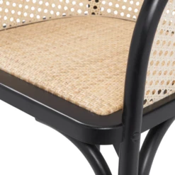 Zaria Arm Chair -Furniture Sales webimage 013130684 5 jpg