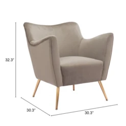 Camelia Accent Chair -Furniture Sales webimage 013998913 DIM