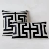 Cace Pillow Collection - Natural/Black -Furniture Sales webimage 040091791 jpg