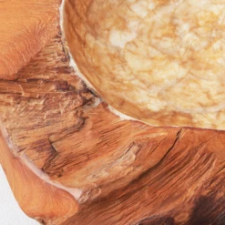 Organic Capiz Bowl -Furniture Sales webimage 160160778 DTL 1