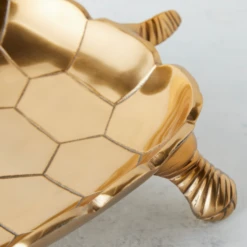 Nikki Chu - Tortoise Plate -Furniture Sales webimage 160219677 2 jpg