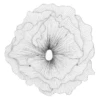 Large Poppy Flower Wall Decor - Silver/Black -Furniture Sales webimage 162120419 jpg