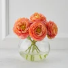 Ranunculus In Glass - Sunset -Furniture Sales webimage 168102844 jpg
