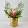 Protea In Pot - Blush -Furniture Sales webimage 168115695 jpg 1