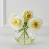 Ranunculus In Glass - White -Furniture Sales webimage 168126063 jpg
