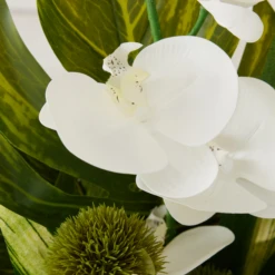 Phalaenopsis Leaf In Glass -Furniture Sales webimage 168192665 dtl2 1