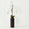 Nikki Chu - Orchid In Black Vase -Furniture Sales webimage 168213601