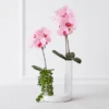 Nikki Chu - Pink Orchid In White Vase -Furniture Sales webimage 168247451