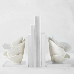 Coral Bookends -Furniture Sales webimage 186978354 1 jpg 3