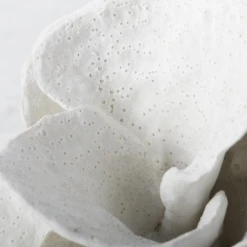 Coral Bookends -Furniture Sales webimage 186978354 2 jpg 3