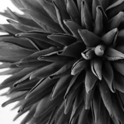 Faux Allium Sphere -Furniture Sales webimage 200053849 1 jpg