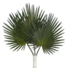 Faux Palm Stem - Set Of 3 -Furniture Sales webimage 200058515 jpg