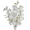 Faux Phalaenopsis Spray - Set Of 3 -Furniture Sales webimage 200106535 jpg