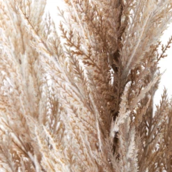 Pampas Grass - Set Of 3 -Furniture Sales webimage 200200552 1 jpg
