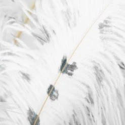 Ostrich Spray - Set Of 3 -Furniture Sales webimage 205481275 1 jpg