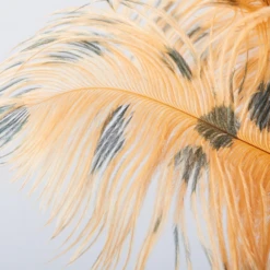 Ostrich Spray - Set Of 3 -Furniture Sales webimage 205481276 1 jpg 1