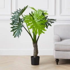 Plume Leaf Tree -Furniture Sales webimage 206448859 1 jpg 1