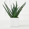 Faux Aloe Plant -Furniture Sales webimage 207032941