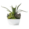 Faux Aloe And Succulent Geo Pot -Furniture Sales webimage 207157001 jpg 1