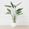 Faux Potted Water Canna 1 Faux Potted Water Canna -Furniture Sales webimage 207190249