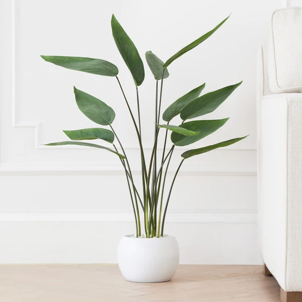 Faux Potted Water Canna 4 Faux Potted Water Canna - Image 2