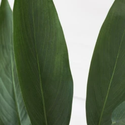 Faux Potted Water Canna 9 Faux Potted Water Canna -Furniture Sales webimage 207190249 dtl2