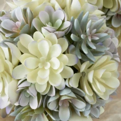 Faux Succulent Sphere -Furniture Sales webimage 207191139 DTL 1