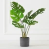 Faux Monstera In Pot -Furniture Sales webimage 207203517