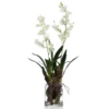 Faux Oncidium In Glass -Furniture Sales webimage 207646889 jpg 1