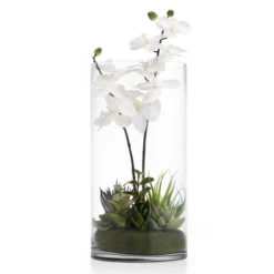 Faux Potted Orchid With Succulents