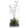 Faux Potted Orchid With Succulents -Furniture Sales webimage 207818656 jpg