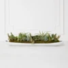 Succulent Assortment In Wood Tray -Furniture Sales webimage 207999710