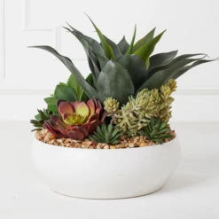 Succulent Assortment In Bowl -Furniture Sales webimage 207999711 alt
