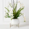 Orchids In Bowl With Stand -Furniture Sales webimage 207999716