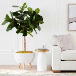 Fiddle Leaf Tree In Bowl -Furniture Sales webimage 207999719 alt6 DSI FIDDLE LEAF IN WHITE POT rv