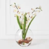 Cymbidium In Glass Vase -Furniture Sales webimage 207999720 1